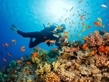 best-snorkeling-diving-in-phu-quoc